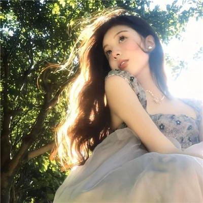 树袋熊