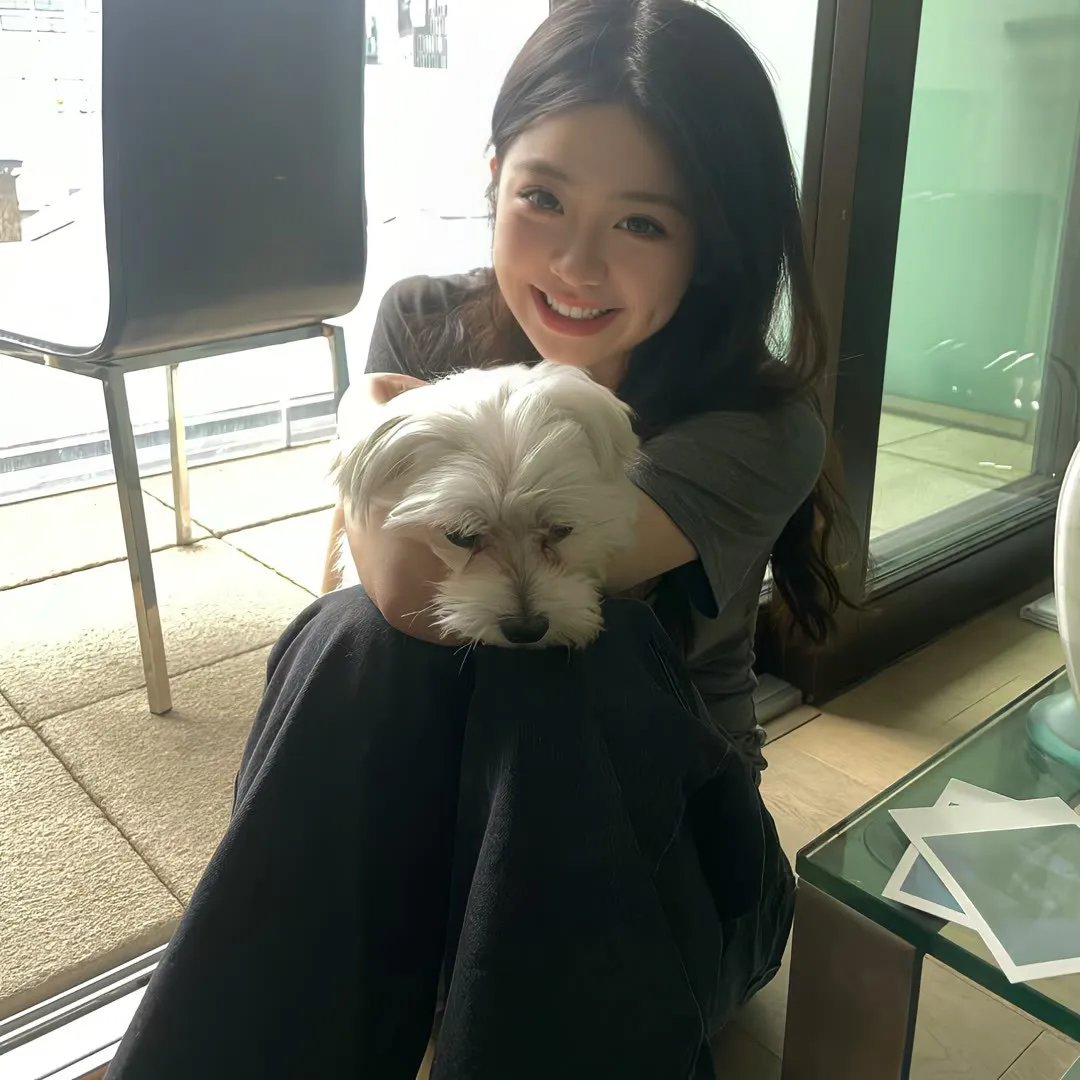 来袭